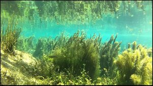 e1d6de76-d18b-4279-8546-4b6a067f455f.jpeg e1d6de76-d18b-4279-8546-4b6a067f455f.jpeg