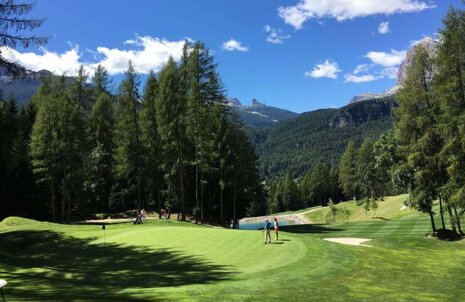 68e197bc-b6ea-4cec-b566-d427049ef652