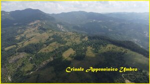 7d7ae3c8-6d24-41b3-bb5f-a2b80d610522