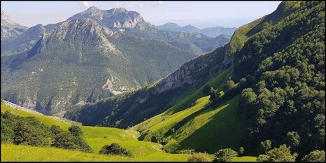 9d9232f5-a9ce-4f47-b8c2-e82462b0c6e7.jpeg 9d9232f5-a9ce-4f47-b8c2-e82462b0c6e7.jpeg