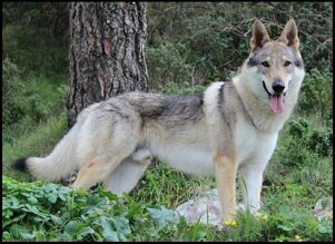 70a73a2c-21e5-498d-accb-a66fd0605ddd