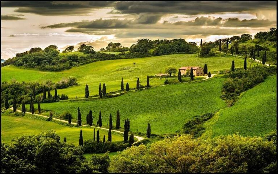 1a6746a3-f5b9-45f3-b1fc-adb8f196049e.jpeg 1a6746a3-f5b9-45f3-b1fc-adb8f196049e.jpeg