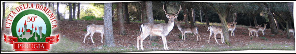 e17e3ebc-c59e-49f6-82ad-bedaba53ee22