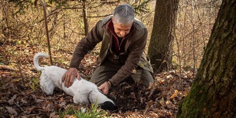 8a793212-3d9d-4bab-977e-c54e1fe3a52e.jpeg 8a793212-3d9d-4bab-977e-c54e1fe3a52e.jpeg