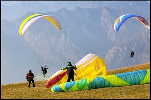 98ca80ec-1124-411a-b718-b92b83dd6d59.jpeg 98ca80ec-1124-411a-b718-b92b83dd6d59.jpeg