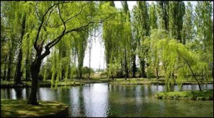 14c72594-9111-4d08-912f-c010b2507bb3.jpeg 14c72594-9111-4d08-912f-c010b2507bb3.jpeg