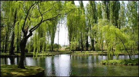 04929730-4299-4cfa-988f-a1a5f5543fa1.jpeg 04929730-4299-4cfa-988f-a1a5f5543fa1.jpeg