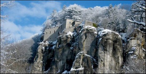 7e11776a-3968-444a-8f0d-4bba8d169dd4.jpeg 7e11776a-3968-444a-8f0d-4bba8d169dd4.jpeg