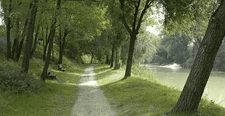 cb2c8fa7-d538-4203-adf4-797e0b6cd25d