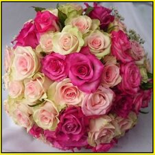 8c2fb939-c222-4d28-88af-ee56ca231153 8c2fb939-c222-4d28-88af-ee56ca231153