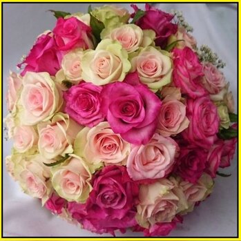 35e43eff-a27e-4de2-a47a-36429d264695