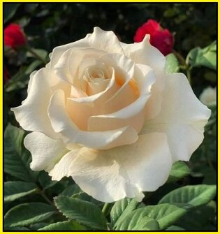 3f33b3ab-5963-4ddb-8328-c88158d58271