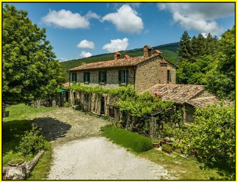 22214782-f134-4dd5-8e10-8529738b4cd5 22214782-f134-4dd5-8e10-8529738b4cd5