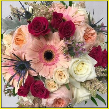 5417c27a-0cff-4c17-9f95-7a8a08f69ad0