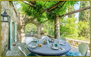 ca90e5b3-52ef-48d3-8e59-af46d38c08d0 ca90e5b3-52ef-48d3-8e59-af46d38c08d0