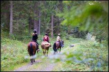 af67b82f-c2d1-4cc7-9b81-64d897341de6.jpeg af67b82f-c2d1-4cc7-9b81-64d897341de6.jpeg