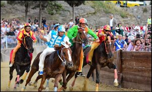 47940296-c101-4506-865f-d36239b830bf.jpeg 47940296-c101-4506-865f-d36239b830bf.jpeg