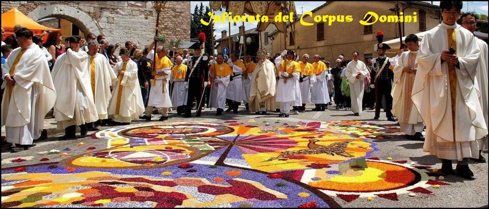 124f250a-bc0c-4da4-ac6b-0b5510e0e439.jpeg 124f250a-bc0c-4da4-ac6b-0b5510e0e439.jpeg