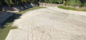 09a231d4-133f-4a8d-9636-1b4c5ffa7438 09a231d4-133f-4a8d-9636-1b4c5ffa7438