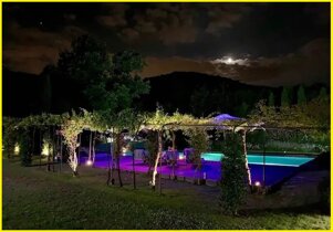 efaeb0b7-23b0-4f5b-990a-2bab6f932d32