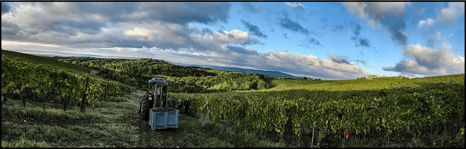 02a981d1-41de-46a7-8620-3aafa288c038