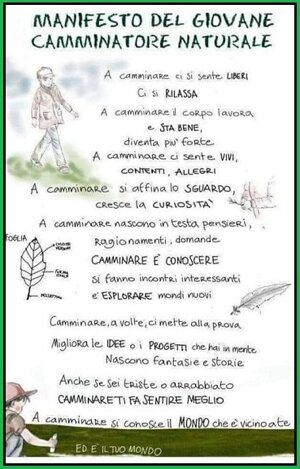 e39fd9fe-7265-4dfc-aec6-a8c136b66cda