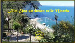 a0345dc1-de3d-46b1-9df6-90ce27e48f15