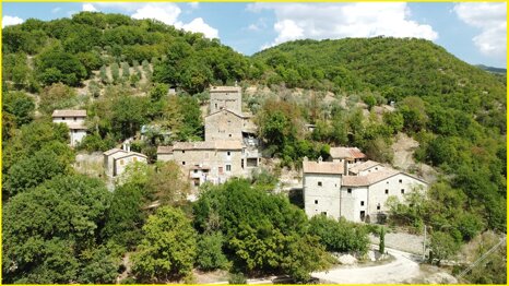 00c39785-931e-474c-9e5c-8128bb479ebe