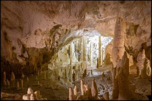 2313eb31-2864-450f-83c7-56f91607ab6a.jpeg 2313eb31-2864-450f-83c7-56f91607ab6a.jpeg