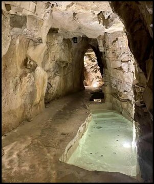 55f893c2-9d41-4c10-94e4-e923c165f52d