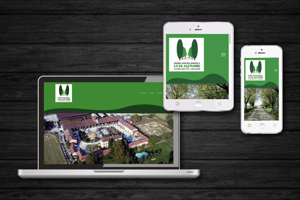 ca0c0eed-9fc3-495e-afa4-ce82207ad067