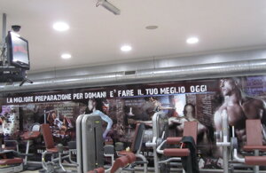 img_0650.jpeg img_0650.jpeg