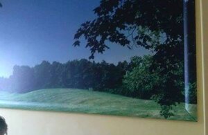 10423880_825482877491504_8949718422399395158_n.jpeg 10423880_825482877491504_8949718422399395158_n.jpeg