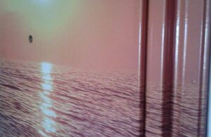 1509028_10202038926808954_807362549_n.jpeg 1509028_10202038926808954_807362549_n.jpeg