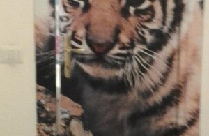 543587_408241415865414_768884893_n.jpeg 543587_408241415865414_768884893_n.jpeg