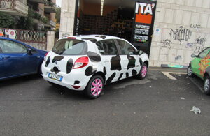 img_4904.jpeg img_4904.jpeg