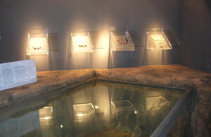 30%20marzo%202005%20museo%20pomezia%207.jpeg 30%20marzo%202005%20museo%20pomezia%207.jpeg