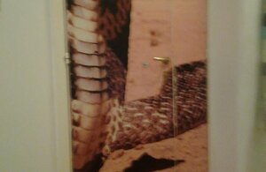 463436137_8866209716752073_8953888753570588025_n.jpeg 463436137_8866209716752073_8953888753570588025_n.jpeg