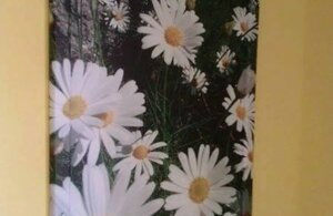 487922_547391918617029_490120138_n.jpeg 487922_547391918617029_490120138_n.jpeg