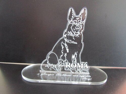 plex9.jpeg plex9.jpeg