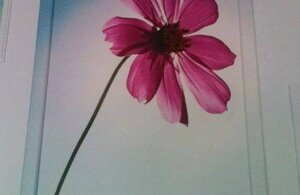 463742576_8866214503418261_4900383197376984615_n.jpeg 463742576_8866214503418261_4900383197376984615_n.jpeg