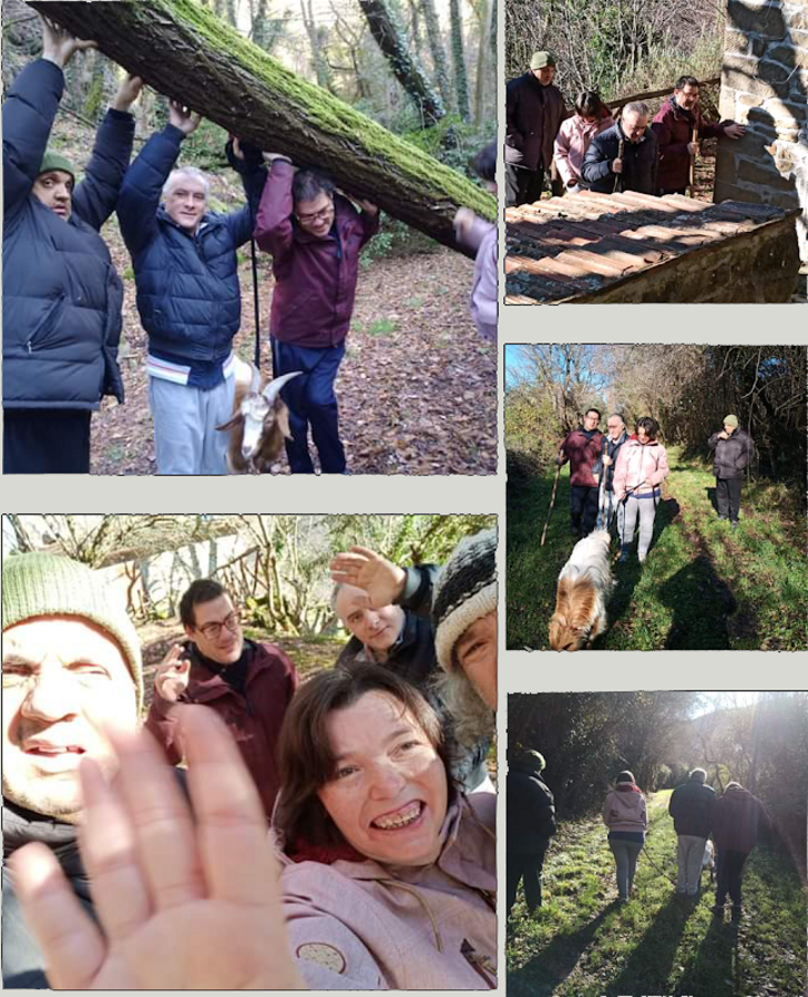 screenshot_20220107181035~2