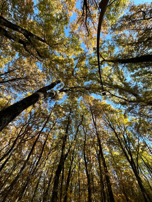 whatsapp image 2025-12-15 at 09.38.32 (3).jpeg