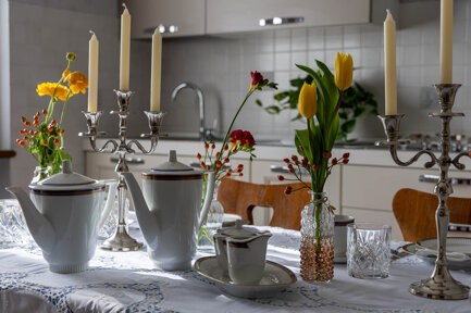 bongiorno web-25.jpeg