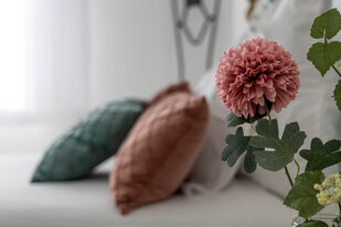 bongiorno web-33.jpeg