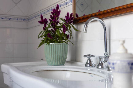 bongiorno web-29.jpeg