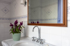 bongiorno web-1.jpeg