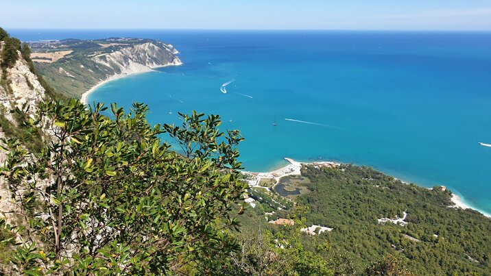 20200607_105437.jpeg 20200607_105437.jpeg