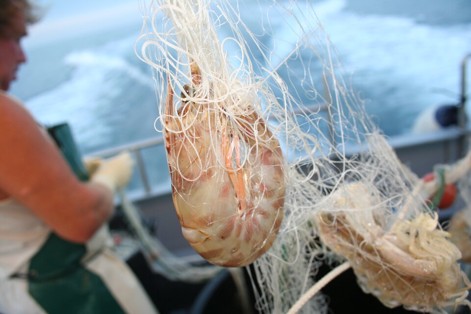 Progetto MINOUW Progetto MINOUW