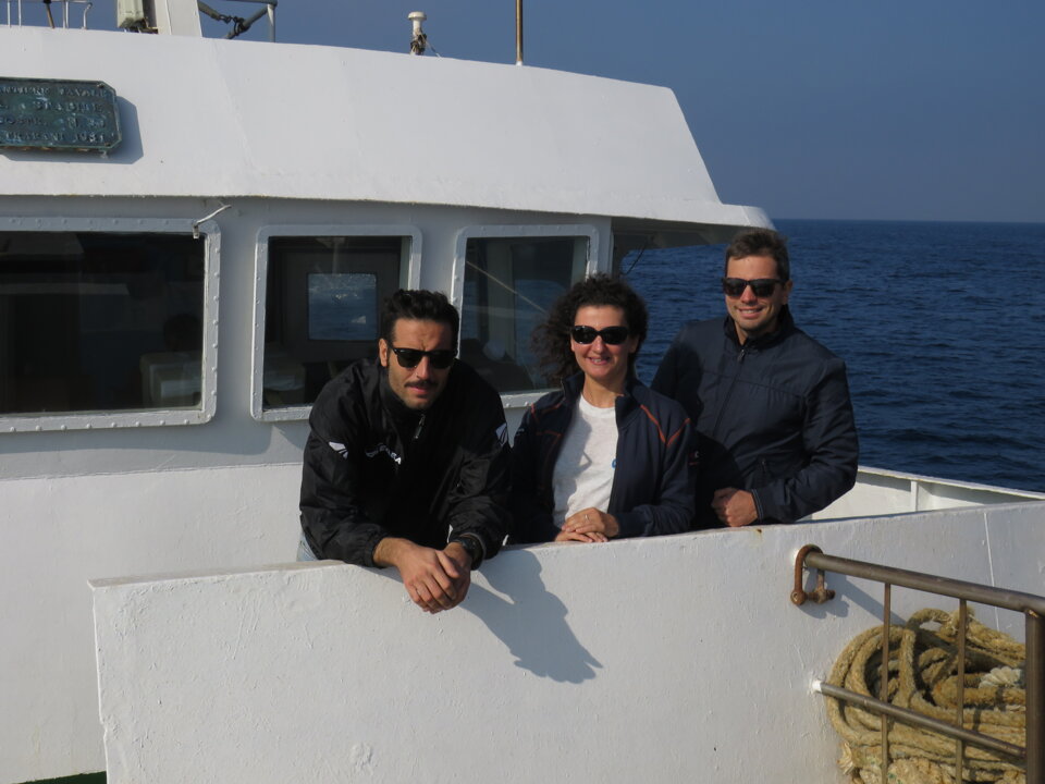 MEDITS 2017 MEDITS 2017